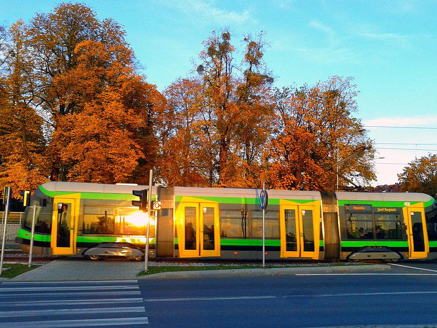 Jesienny Elbląg