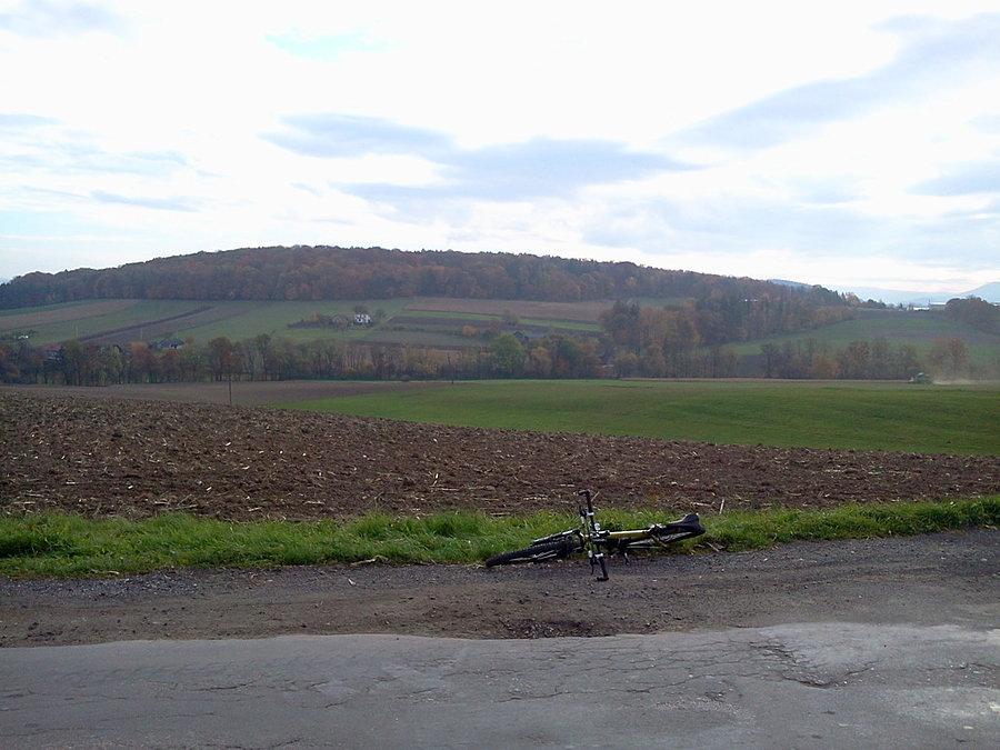 Widok na Las Kamieniec w Ogrodzonej