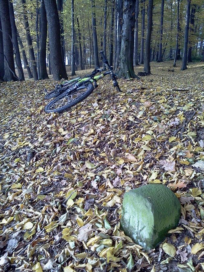 Parchowiec