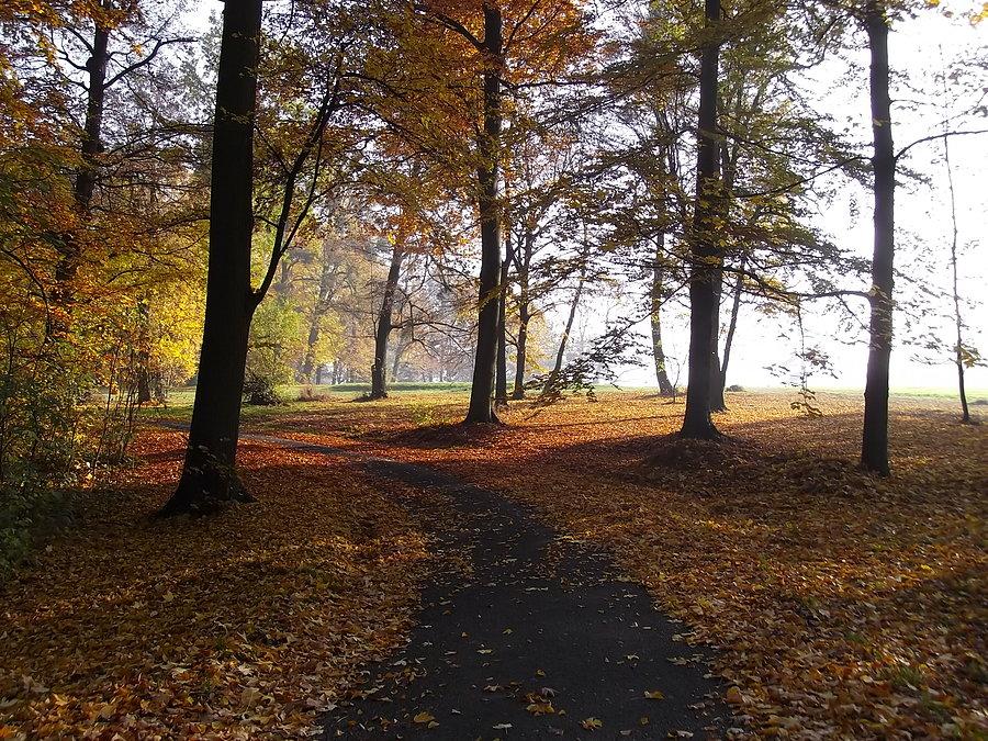Šilheřovice, park