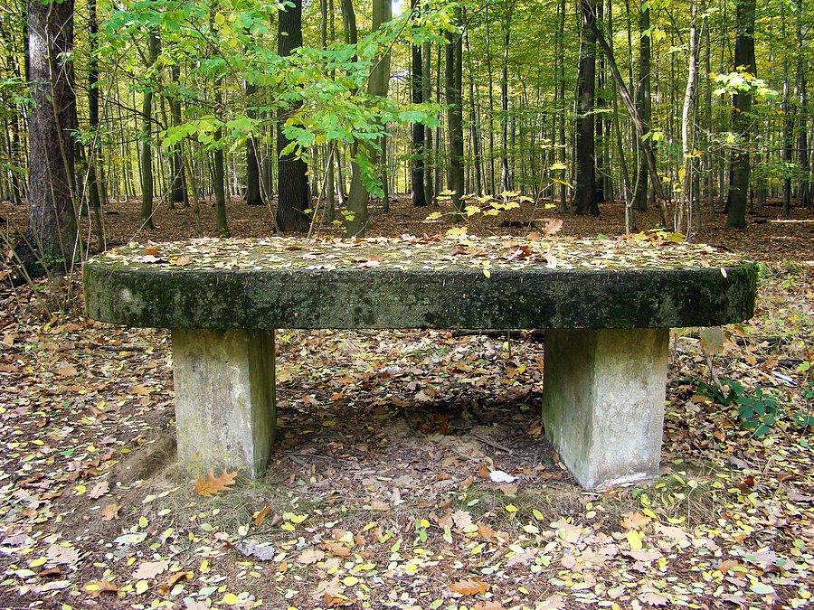 Betonowy "Zielony Stół" w okolicy Leśnej Doliny