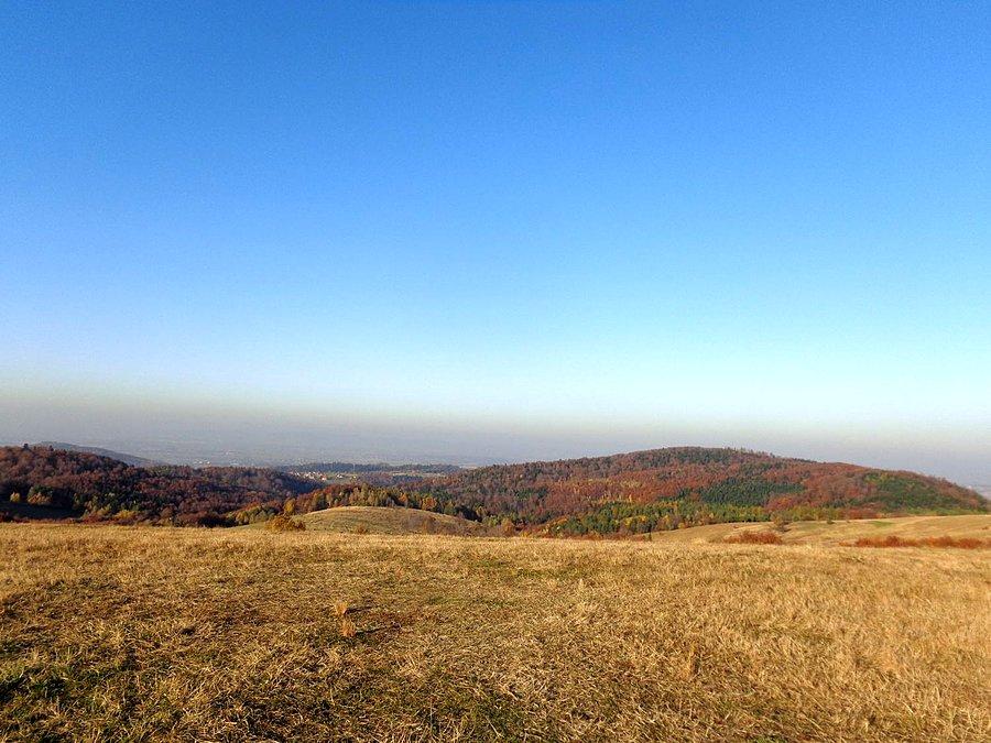 Kolorowa jesień