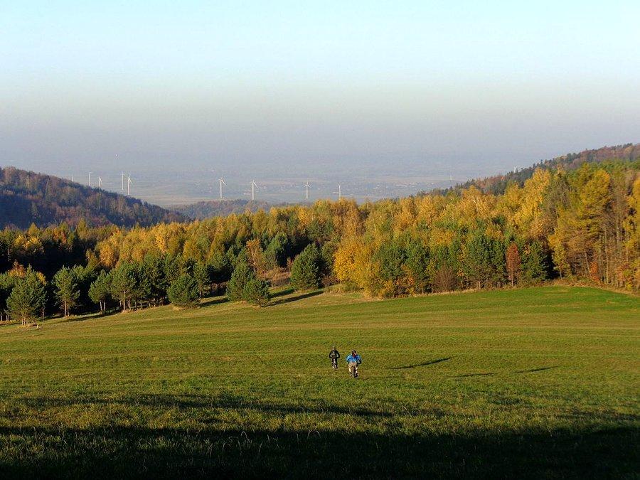 Taka tam ścieżka..wyznaczona przez Nas