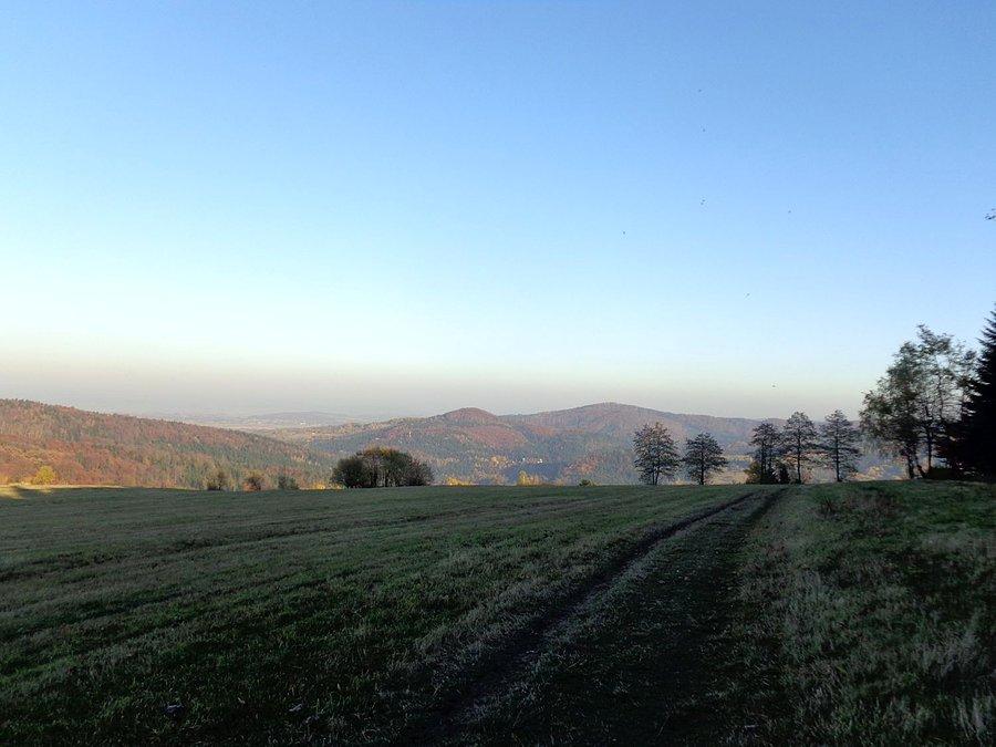 Taki widok na powrocie na Rymanowa Zdroju