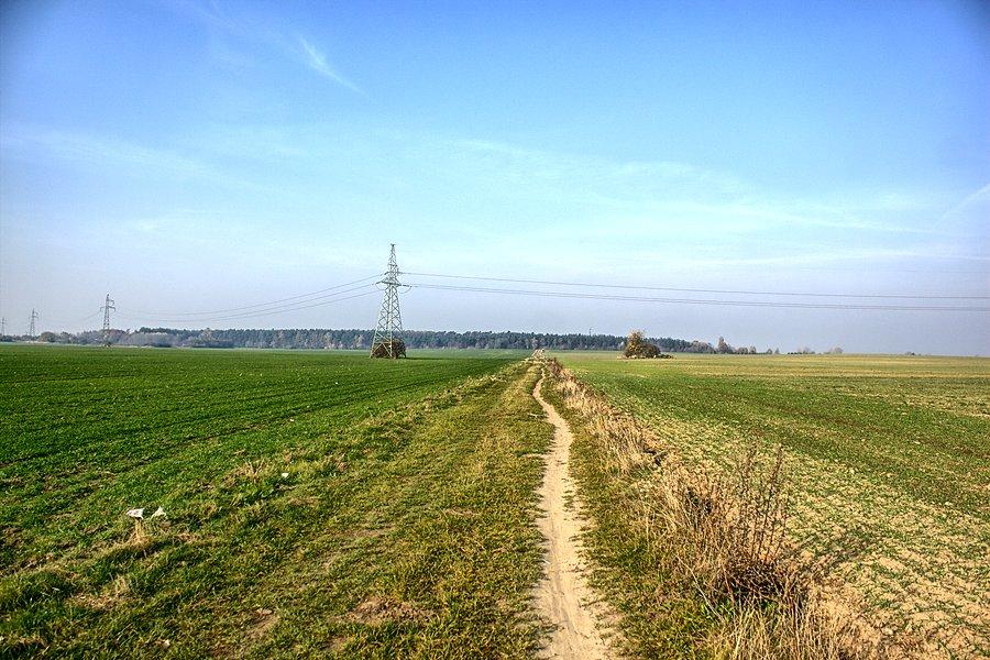 Ulubioną ścieżką do Grzędzic