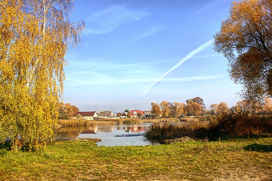 Staw w Grzędzicach