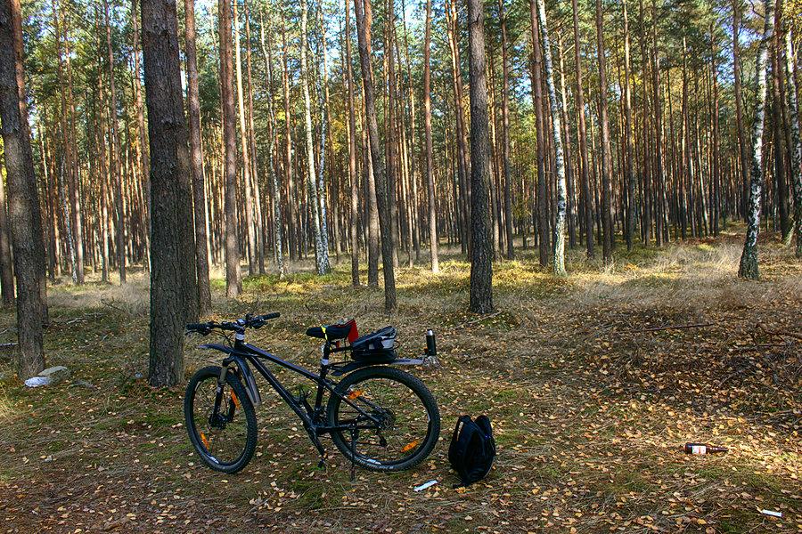 Przerwa na herbatkę za Strumianami