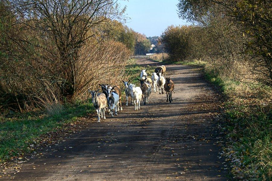 Taki widok w Szczecinie trochę mnie zdziwił :)