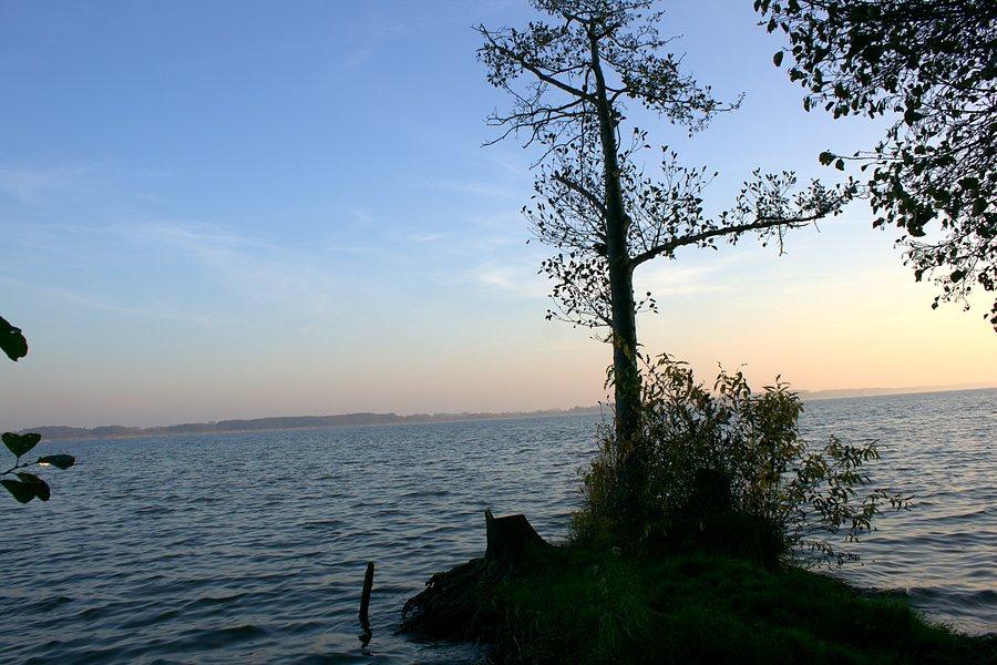 Chwila nad Miedwiem