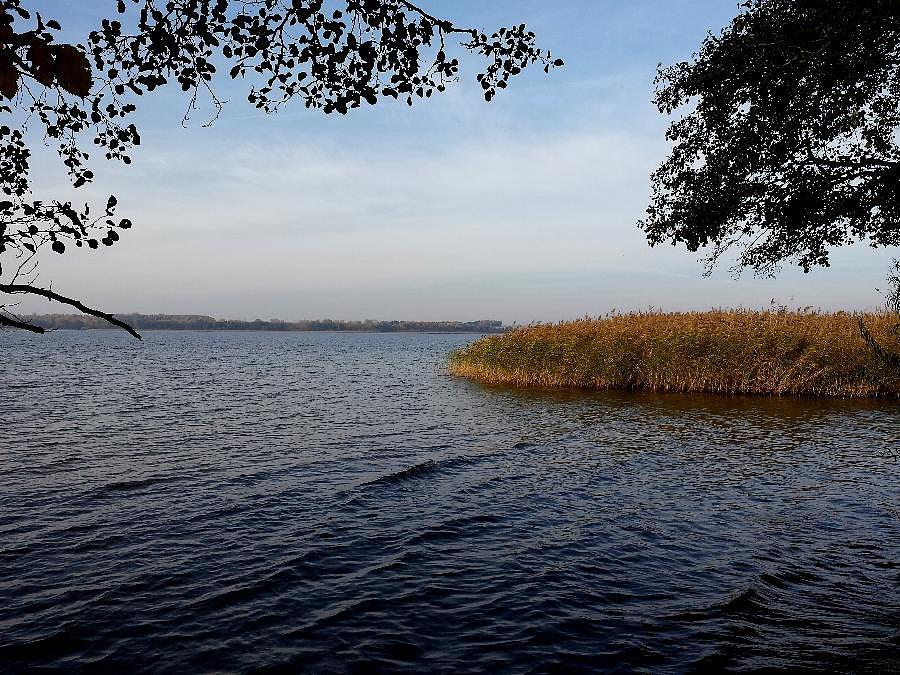 Jezioro Miedwie w okolicy Wierzchlądu