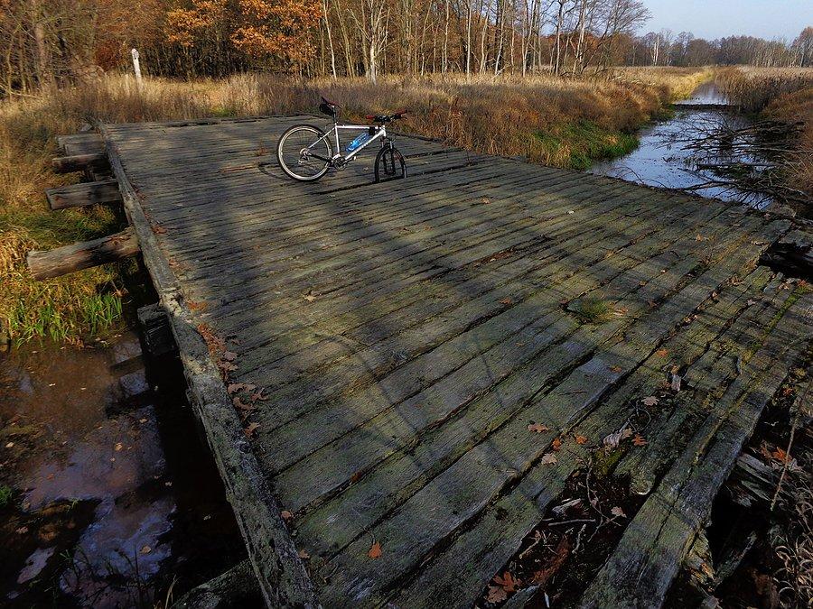 Zbutwiały most na Łasicy. Karolinów, Kampinoski PN