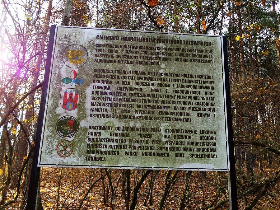 Cmentarz kolonistów niemieckich w Famułkach Łazowskich. Kampinoski PN