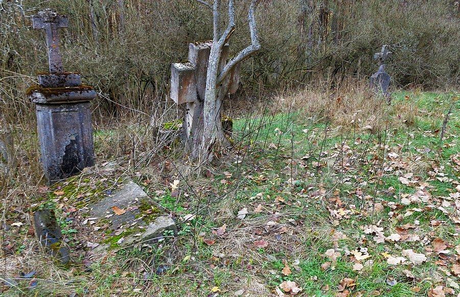 Ocalałe nagrobki na cmentarzu kolonistów niemieckich w Famułkach Łazowskich