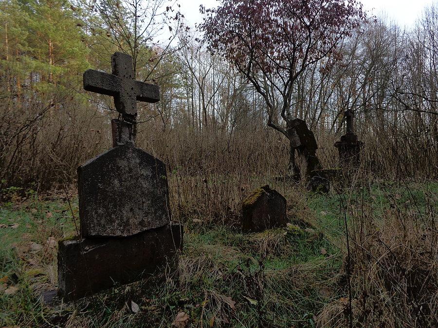 Nagrobki na cmentarzu kolonistów niemieckich w Famułkach Łazowskich