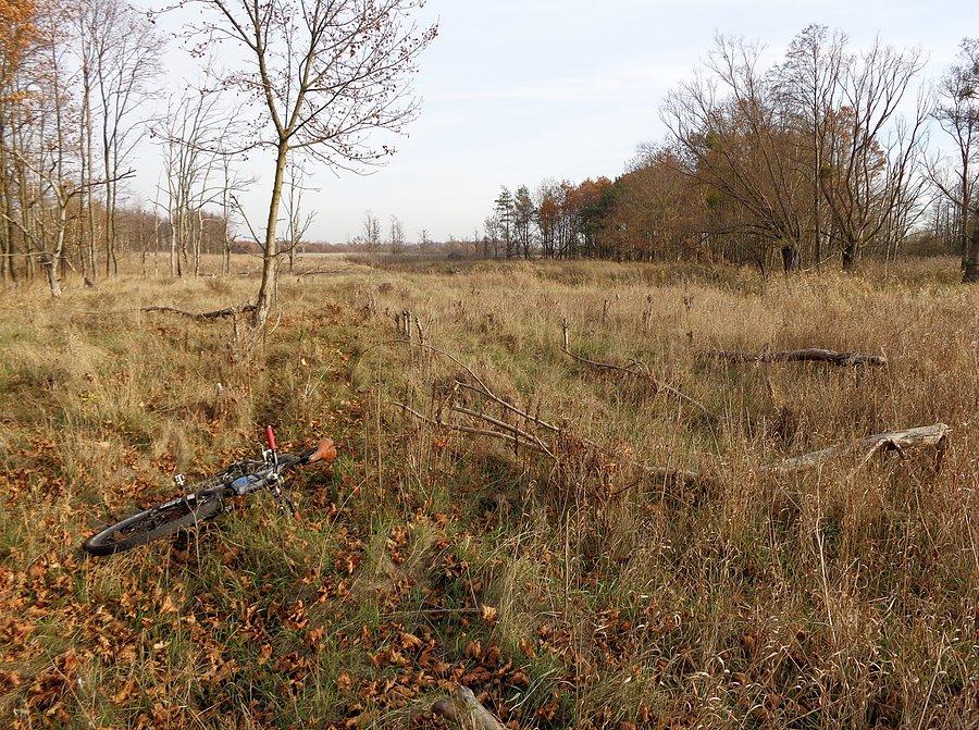 Famułkowskie Błoto, czyli jestem pośrodku niczego i trawy tyle, że nie da się jechać