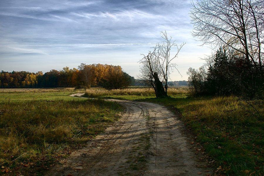 W drodze do Grzędzic