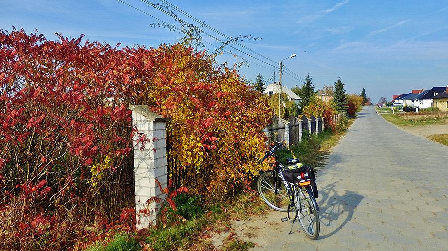Dzisiaj na rowerku - Wszystkich Świętych