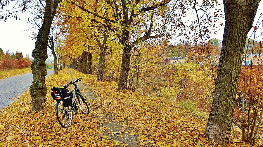 Dzisiaj na rowerku - Wszystkich Świętych