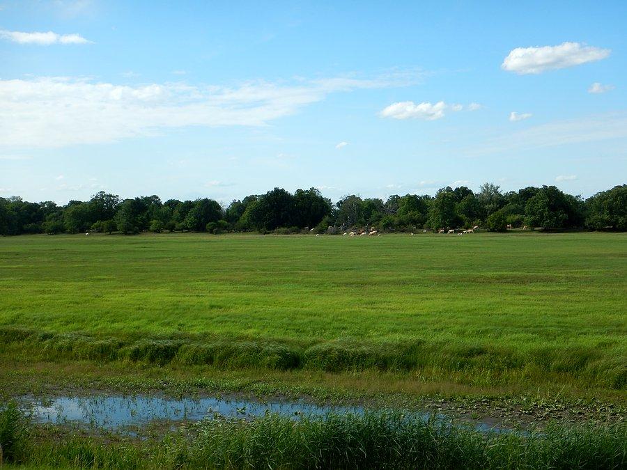 Ładny widok ze szlaku