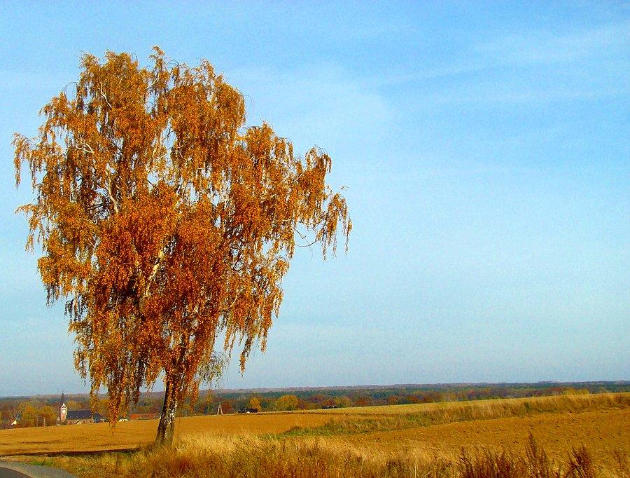 W jesiennej szacie