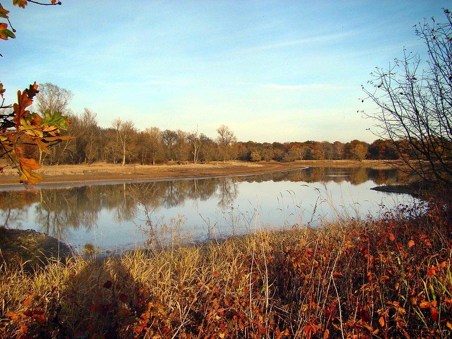 Jesień nad Odrą