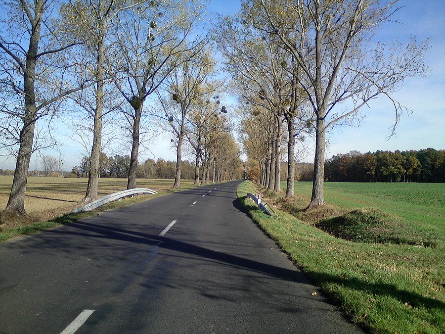Przyjemny dzień