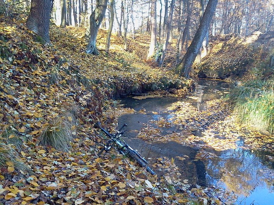 Przez potok