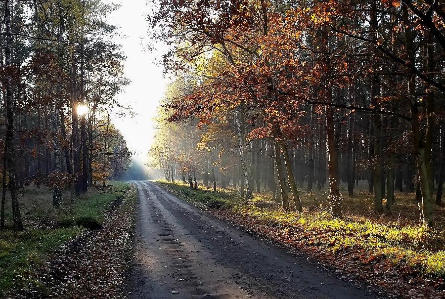 Okolice Kępinki