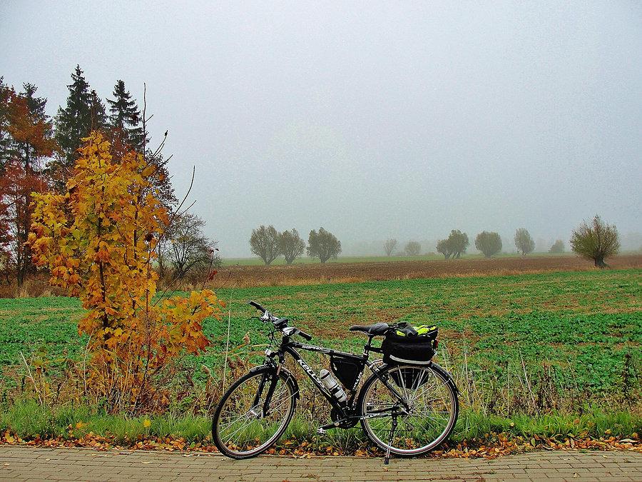 Wypad nad morze - Jantar