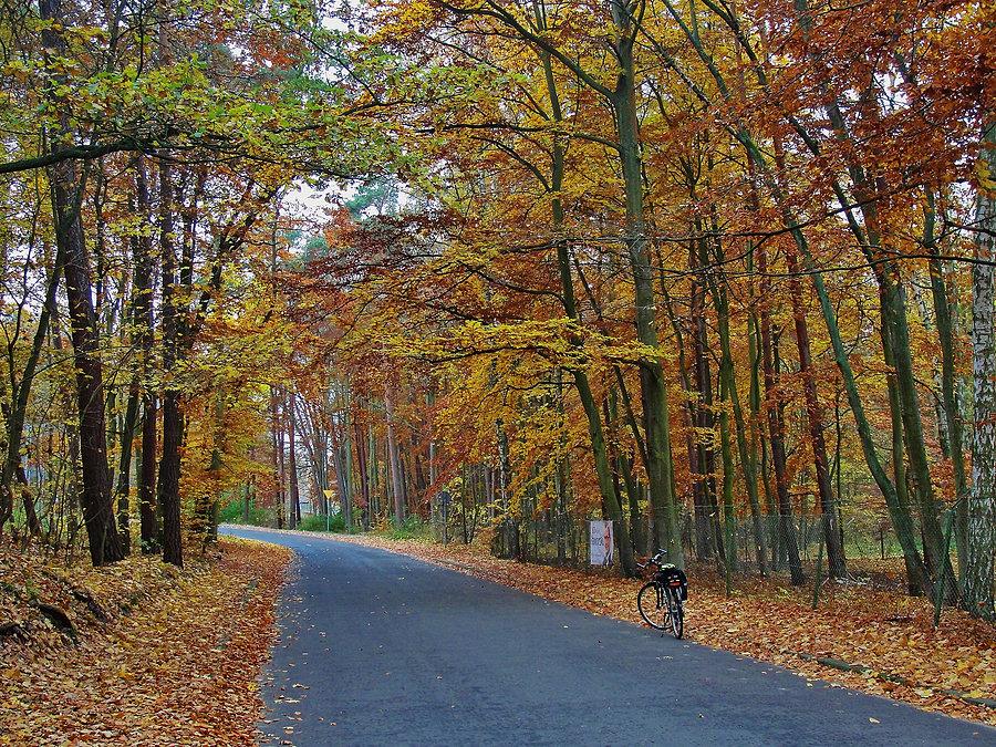 Wypad nad morze - Jantar