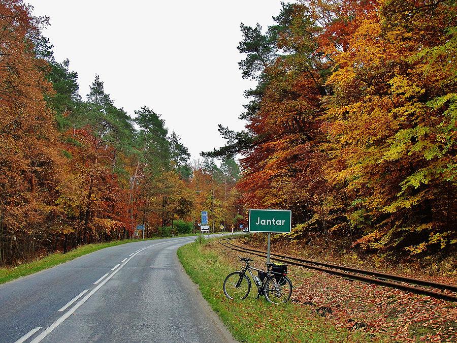 Wypad nad morze - Jantar