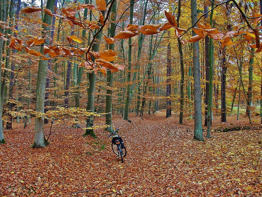 Wypad nad morze - Jantar