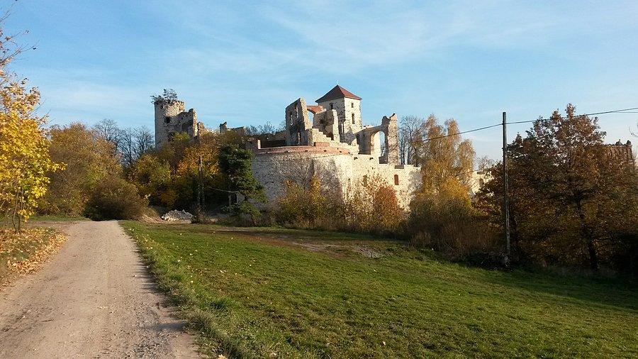 Zamek w Rudnie