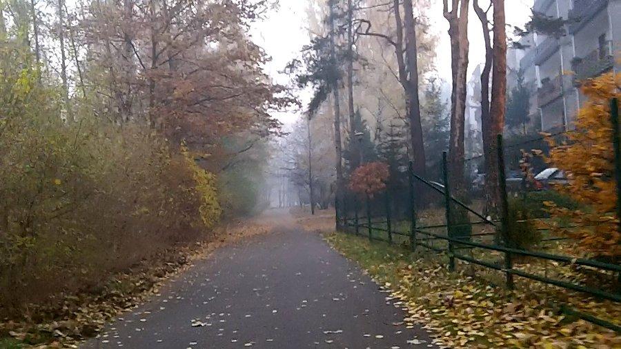 Klimatycznie w parku na Zadolu