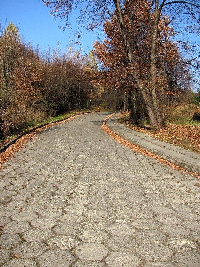 Początek bruczku