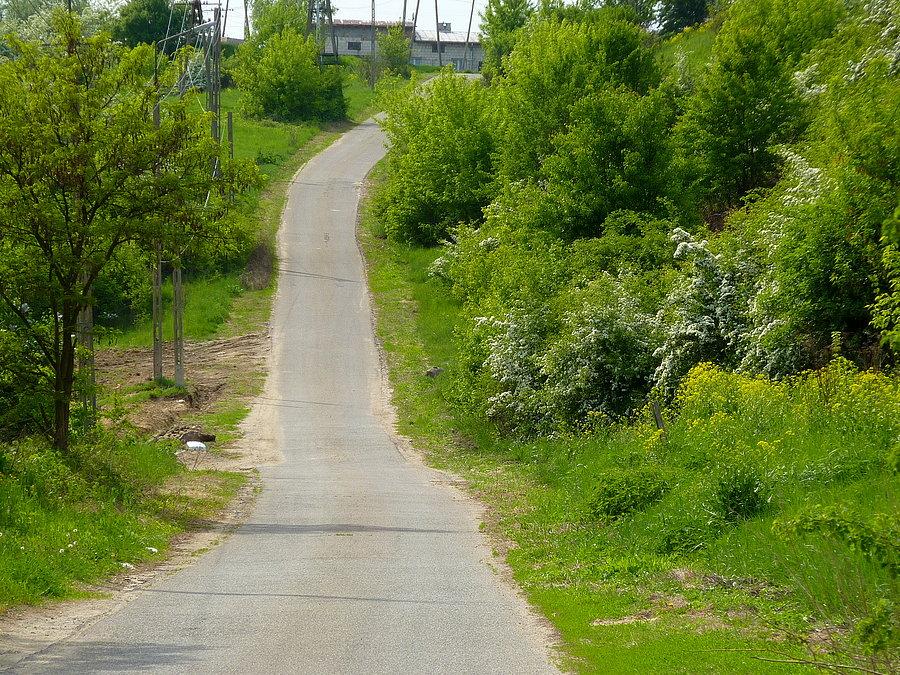 Podjazd w Zakroczymiu