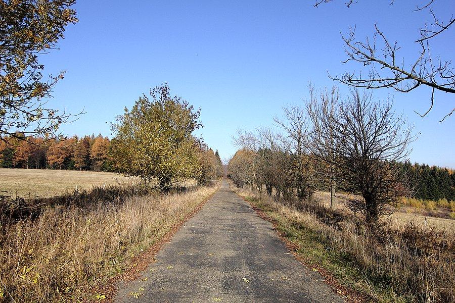 Zdezelowany asfalt Ożenna-Krempna