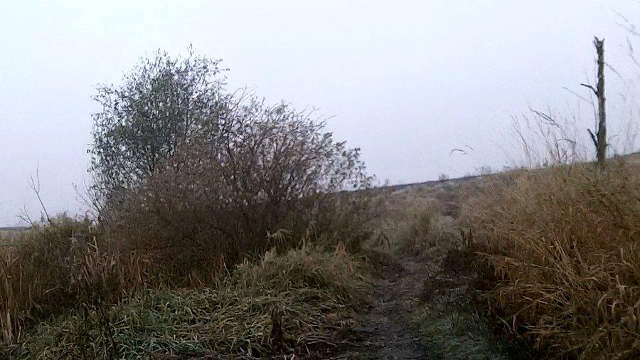 Wąska ścieżka
