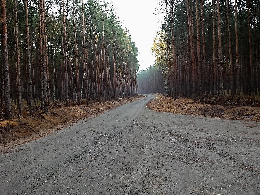 Nowa szutrówka między Załomiem i Wielgowem
