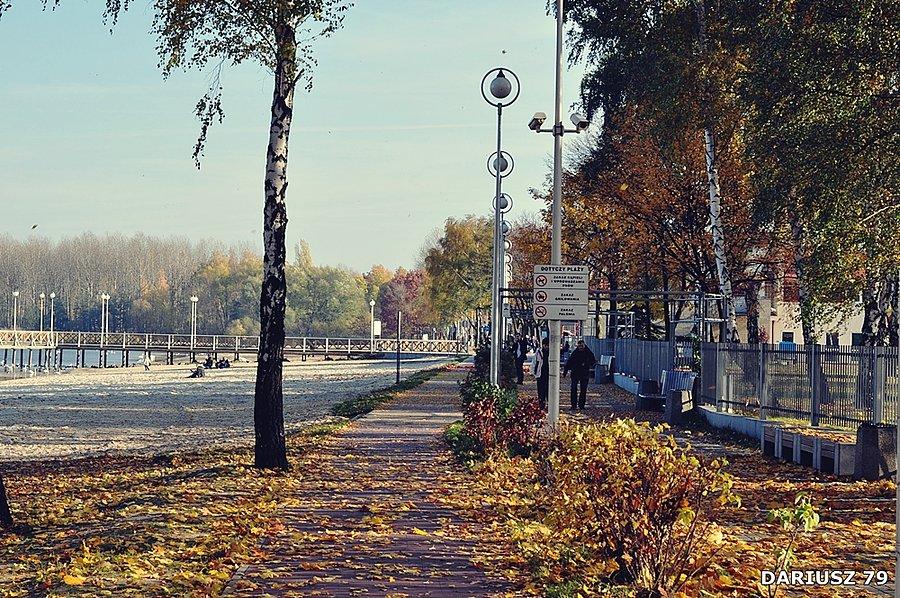 Dąbrowa Górnicza - Pogoria 3