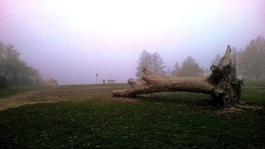Strzeszynek we mgle