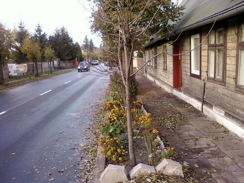 Ul. Wierzbińska, Aleksandrów