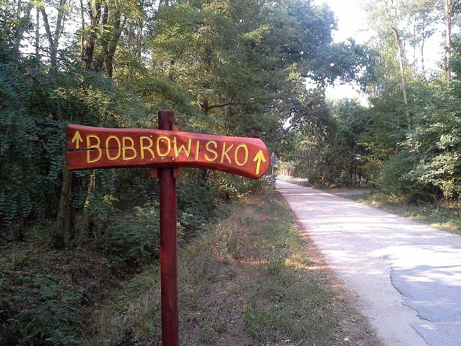 Bobrowisko Jarantowskie