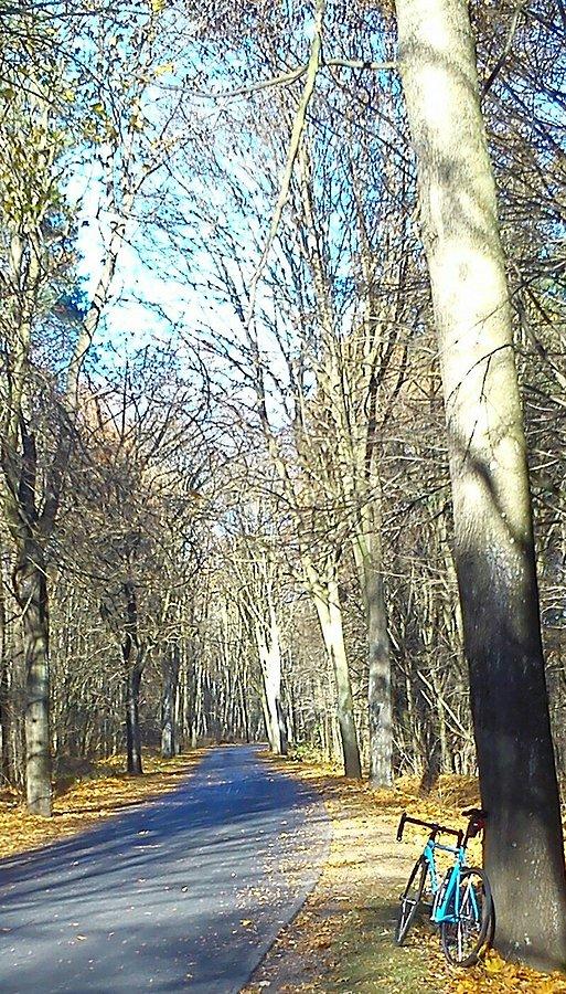 Jesień ... może być piękna !