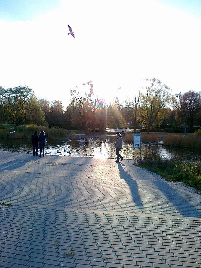 W parku Szymańskiego