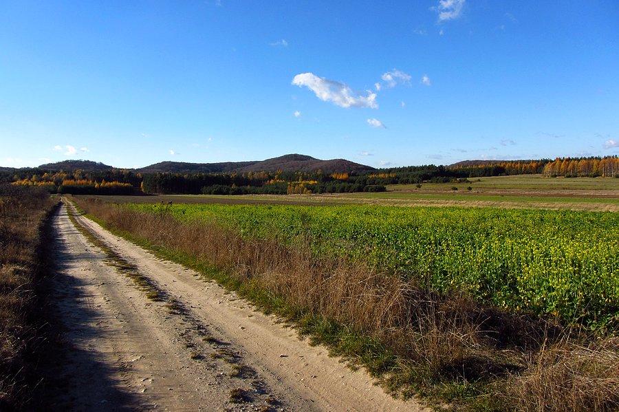Widok na Sokole
