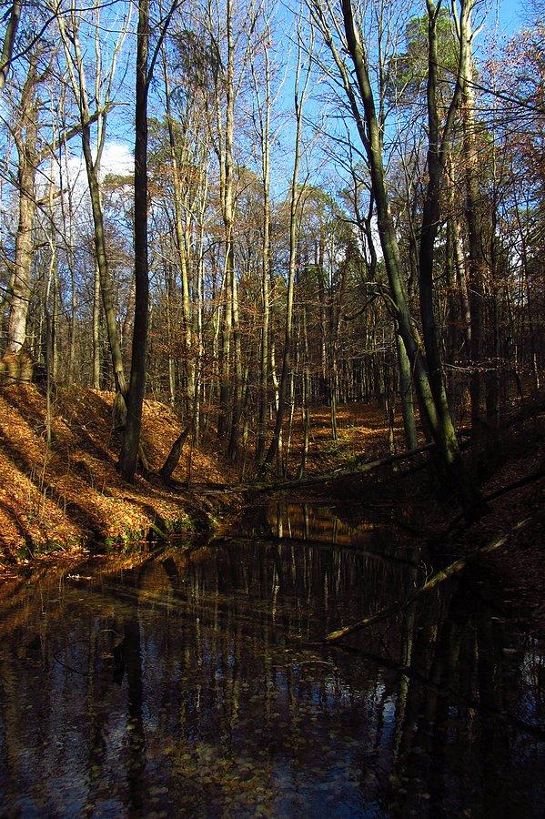 Koło źródeł