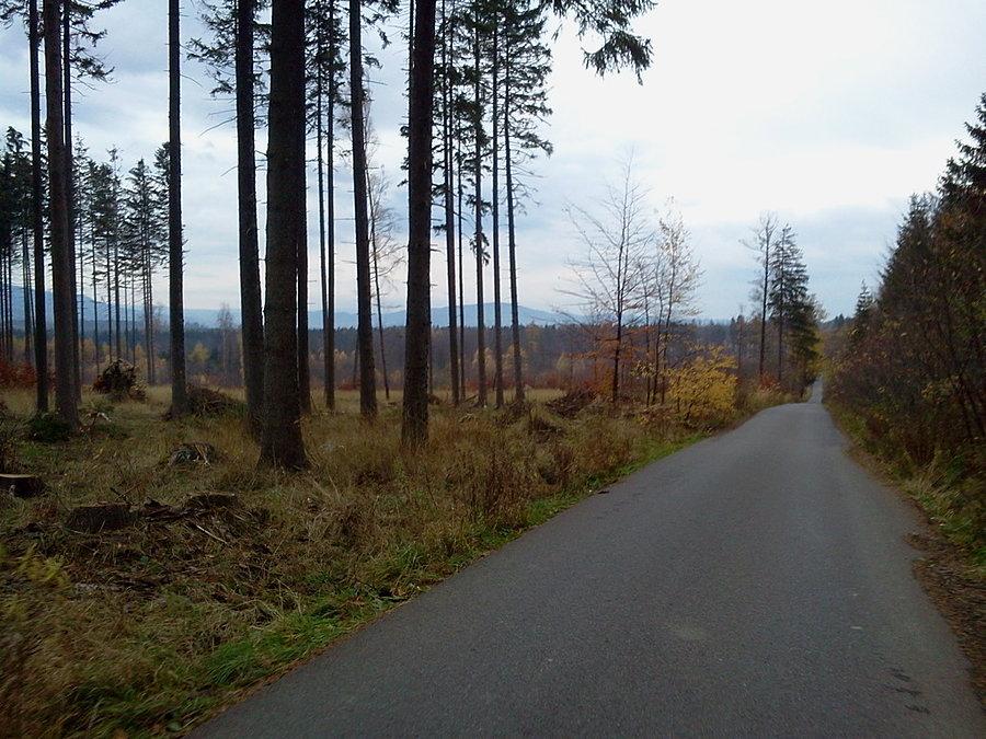 Przez las