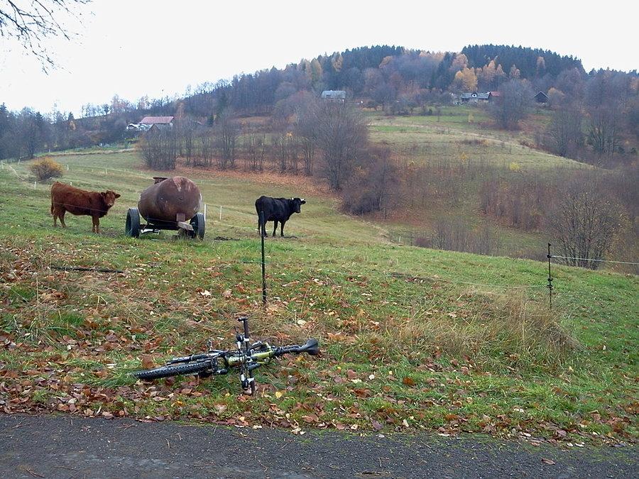 Halo jak się wam tam pasie?