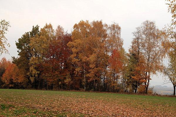 Jesień w Lichwinie